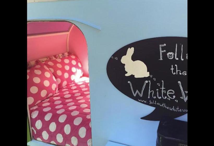 Bed and Breakfast Follow The White Wabbit 19