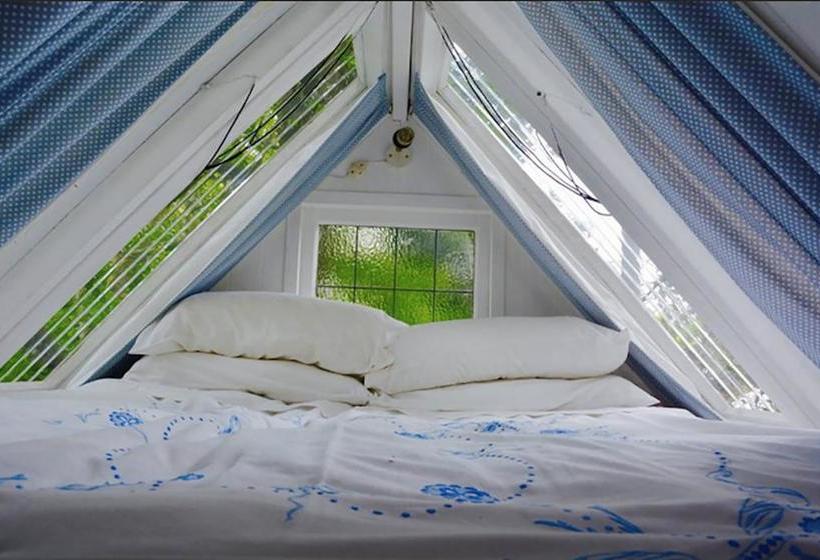 Bed and Breakfast Follow The White Wabbit 2