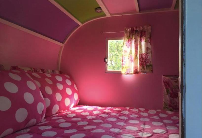 Bed and Breakfast Follow The White Wabbit 3