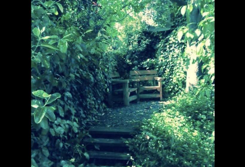 Bed and Breakfast Follow The White Wabbit 4