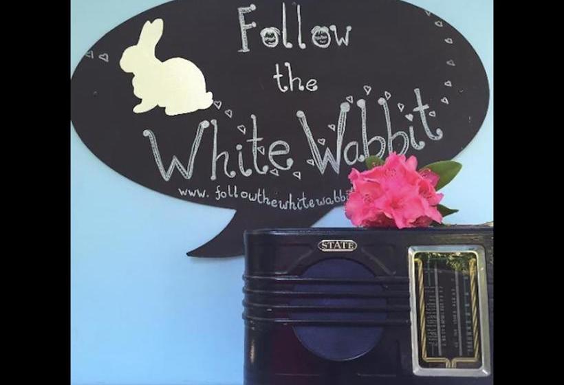 Bed and Breakfast Follow The White Wabbit 5