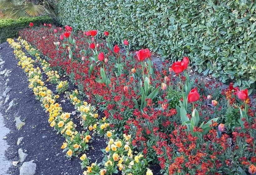 Jan S Boutique B & B Suite 10