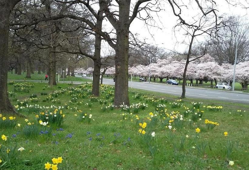 Jan S Boutique B & B Suite 11