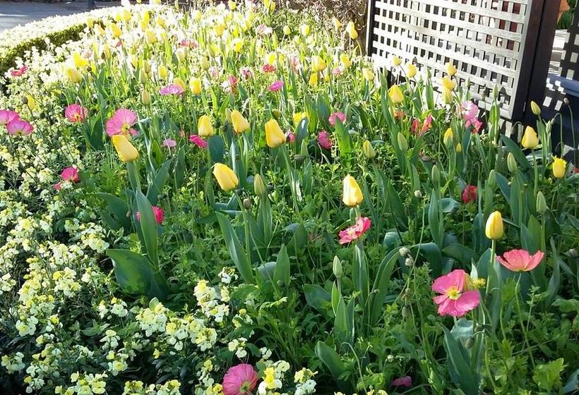 Jan S Boutique B & B Suite 13