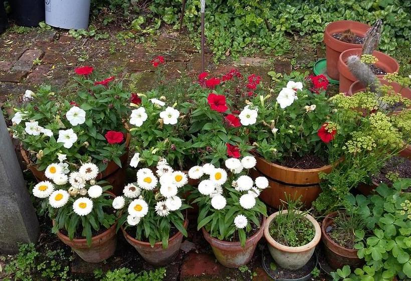 Jan S Boutique B & B Suite 4