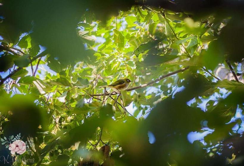 Beaconsfield B & B 1