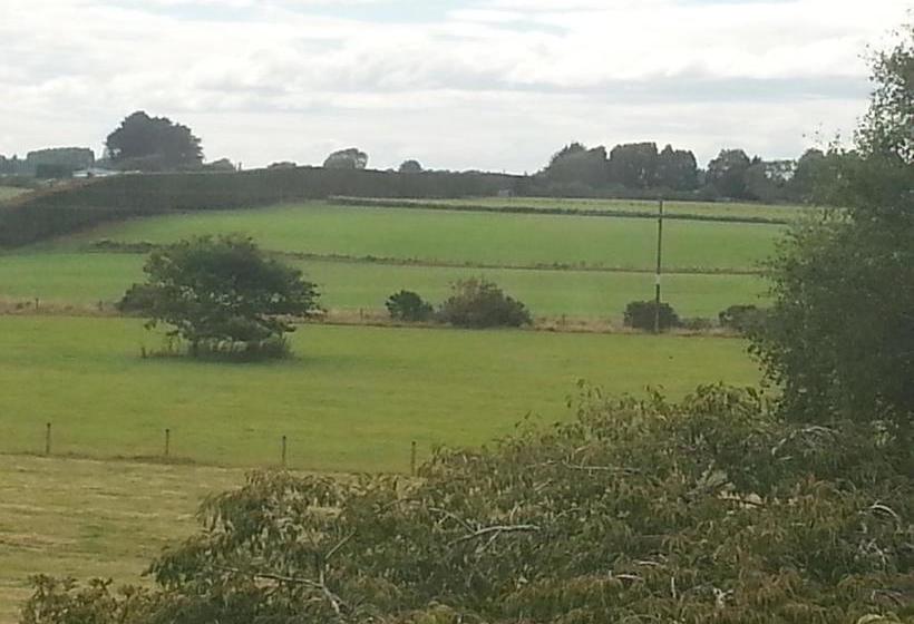 Beaconsfield B & B 11