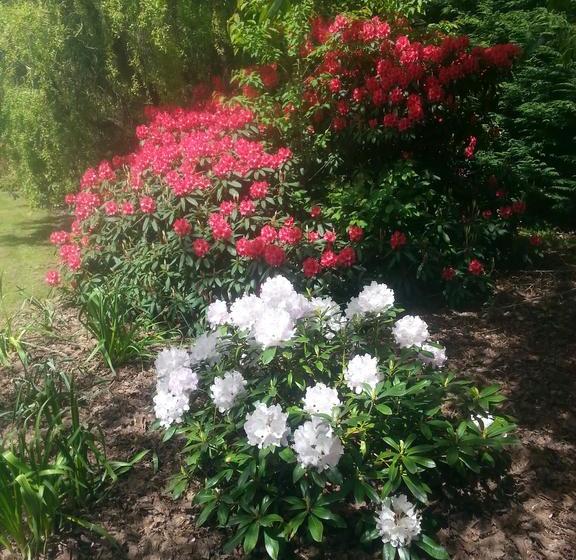 Beaconsfield B & B 18