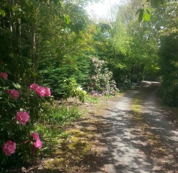 Beaconsfield B & B 19