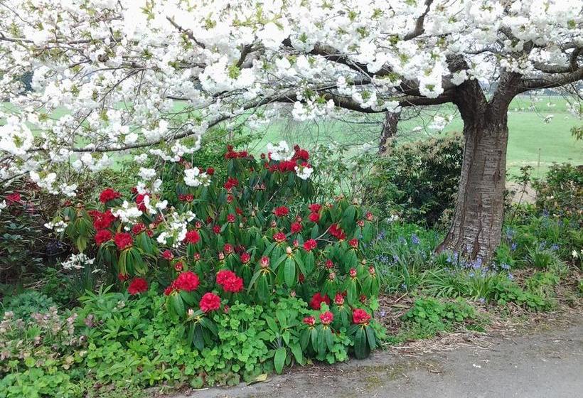 Beaconsfield B & B 2