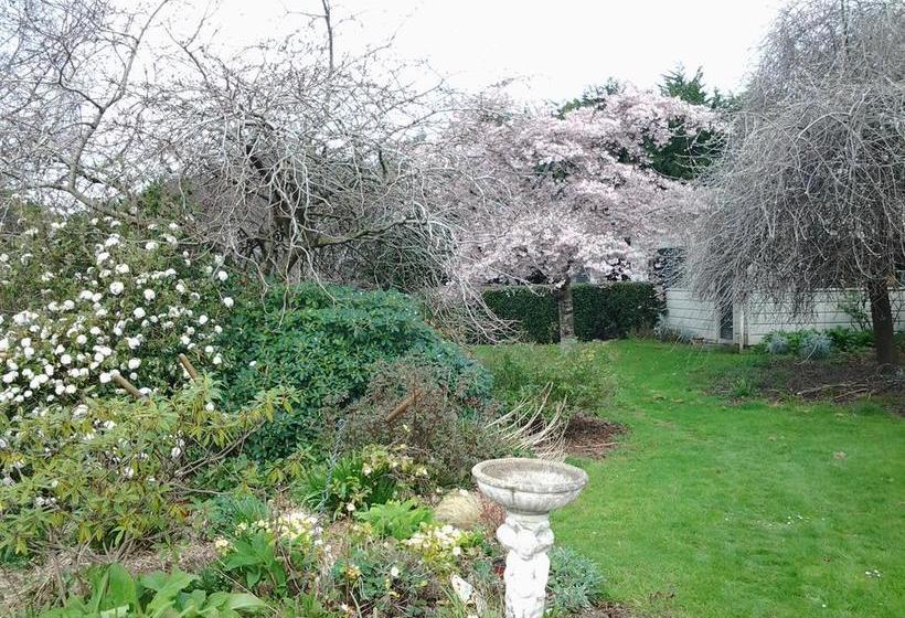 Beaconsfield B & B 7