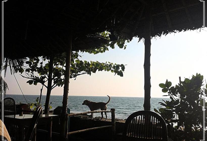 Chameleon Beach Lodge By Peace Rob Hotels 20