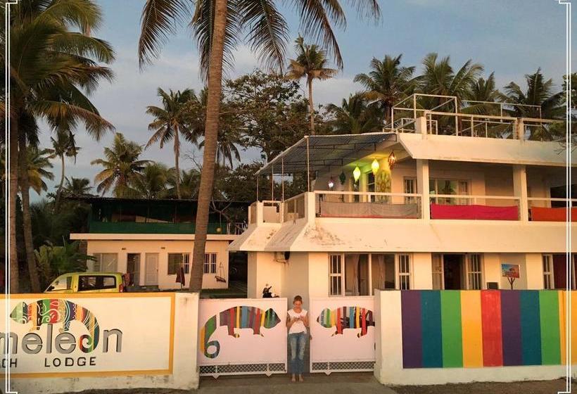 Chameleon Beach Lodge By Peace Rob Hotels 5