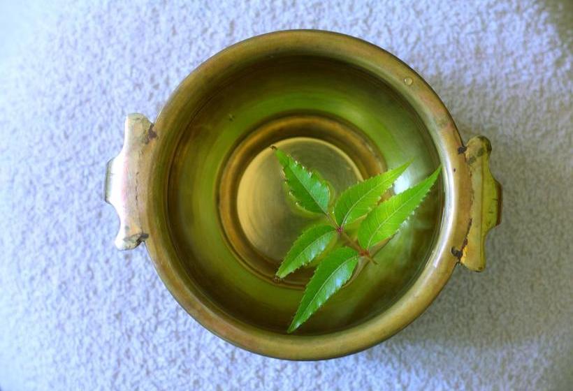 Resort Sea Star Beach Homes 12