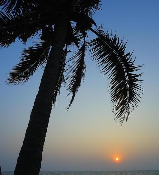 Resort Sea Star Beach Homes 19