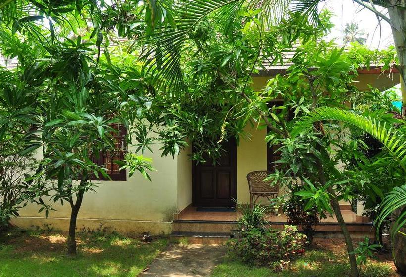 Resort Sea Star Beach Homes 5