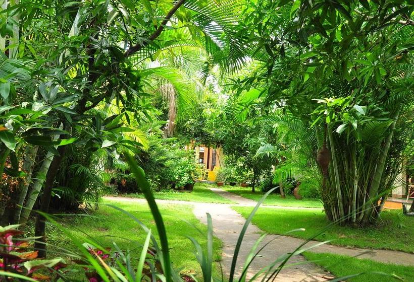 Resort Sea Star Beach Homes 6