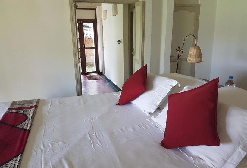 Resort Les 3 Elephants 14