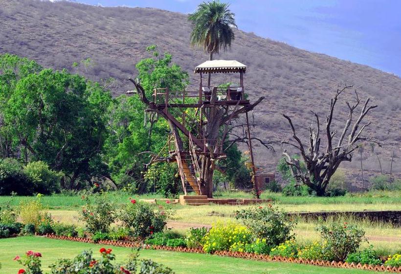 Ummaid Bagh Resort 2