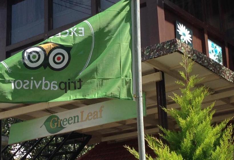 Bed and Breakfast Green Leaf Home Stay 1