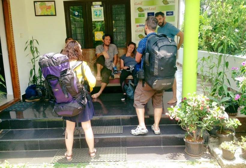 Bed and Breakfast Green Leaf Home Stay 16