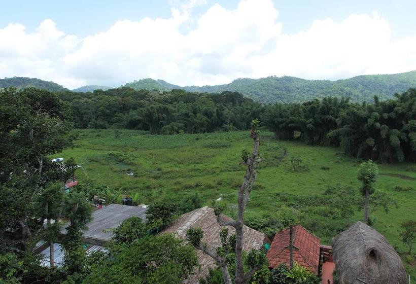 Bed and Breakfast Coffee Inn 12