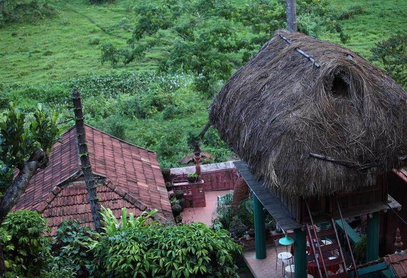 Bed and Breakfast Coffee Inn 15