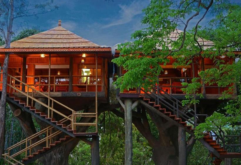 Bed and Breakfast Rangerwood Machan Jungle Tree House Thekkady Kerala