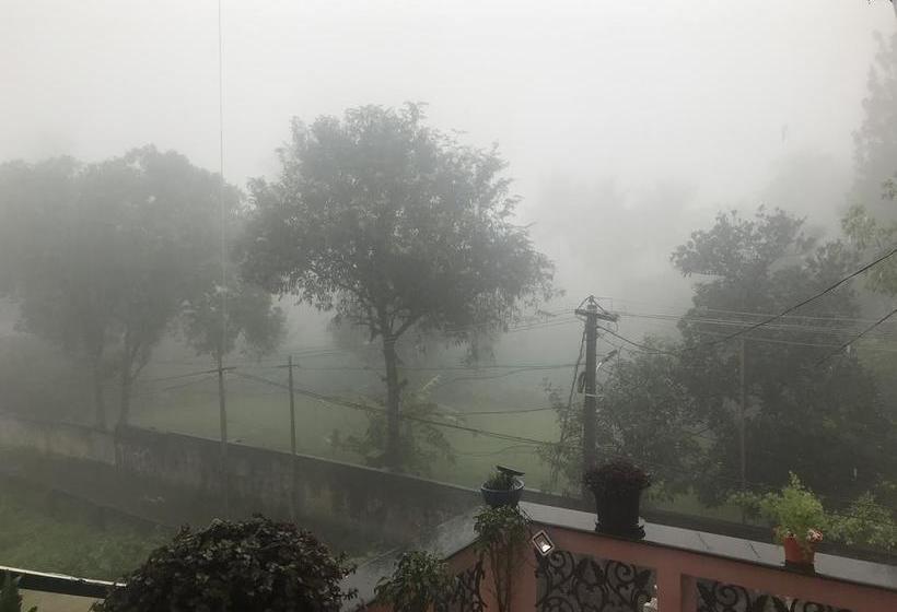 Koshys Bed & Breakfast 11