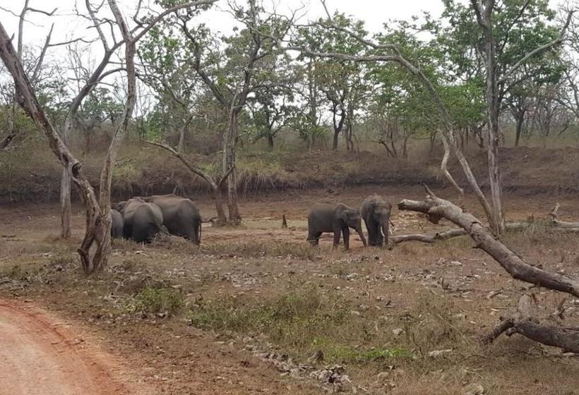 Koshys Bed & Breakfast 15