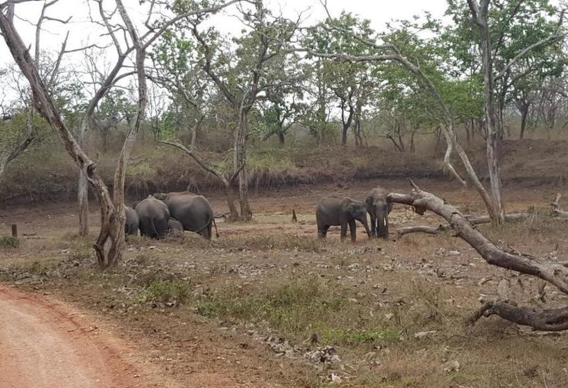 Koshys Bed & Breakfast 19