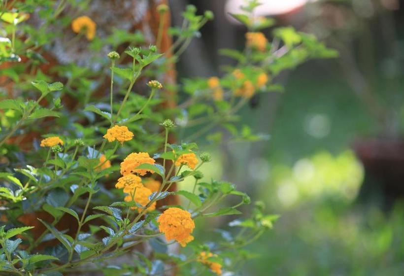 Bed and Breakfast Green Ark Resorts 11