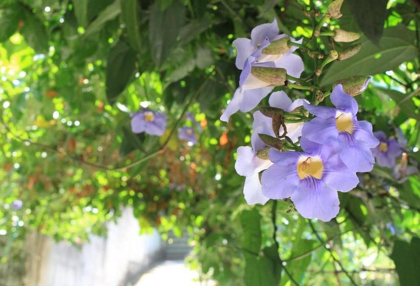 Bed and Breakfast Green Ark Resorts 15