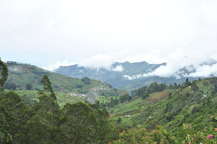 Resort The Carnival 5