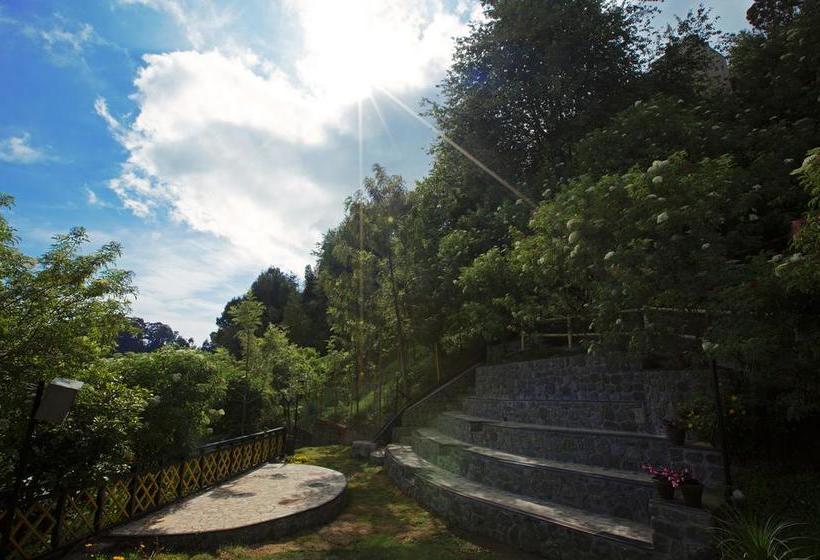 Hotel Pine Borough Inn 14