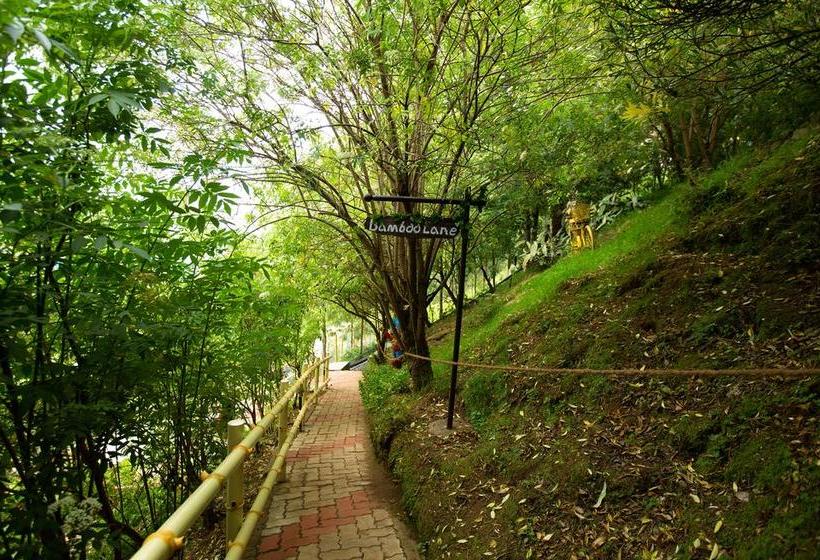 Hotel Pine Borough Inn 15