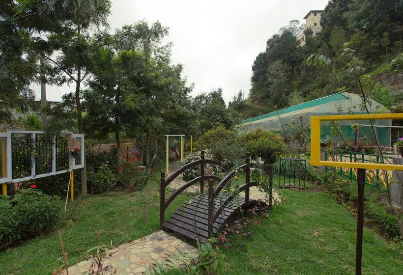 Hotel Pine Borough Inn 18