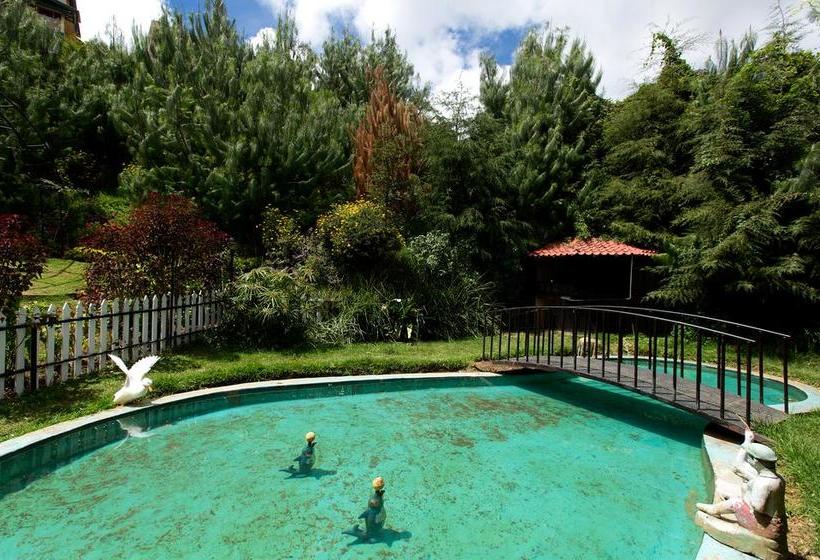 Hotel Pine Borough Inn 20