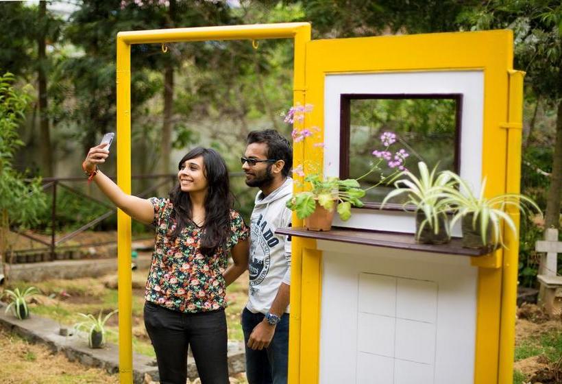 Hotel Pine Borough Inn 9