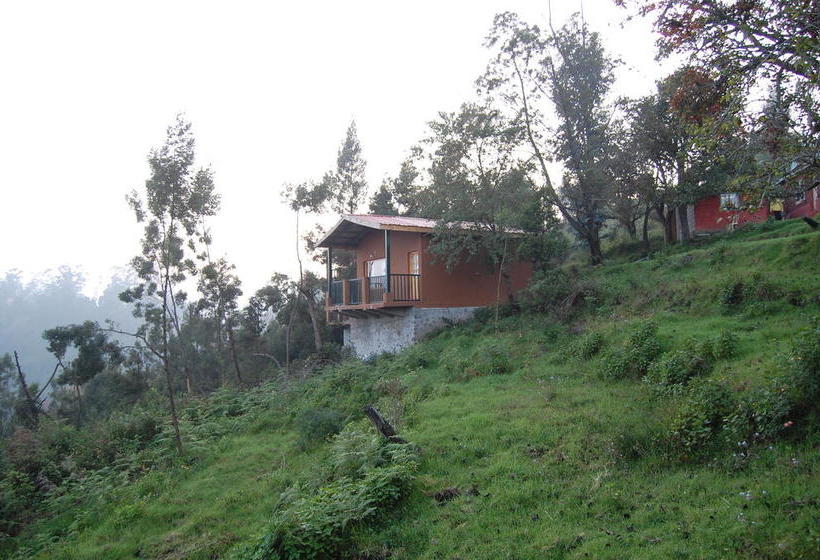 Bed and Breakfast Surya Holidays Kodaikanal 5