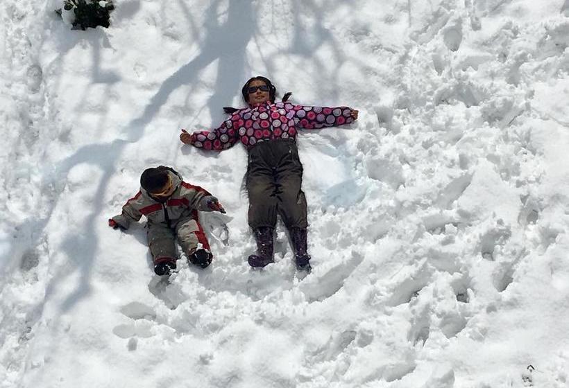 Hotel Vyas Vatika 12