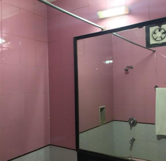 Hotel Krishna Coddle Executive 17