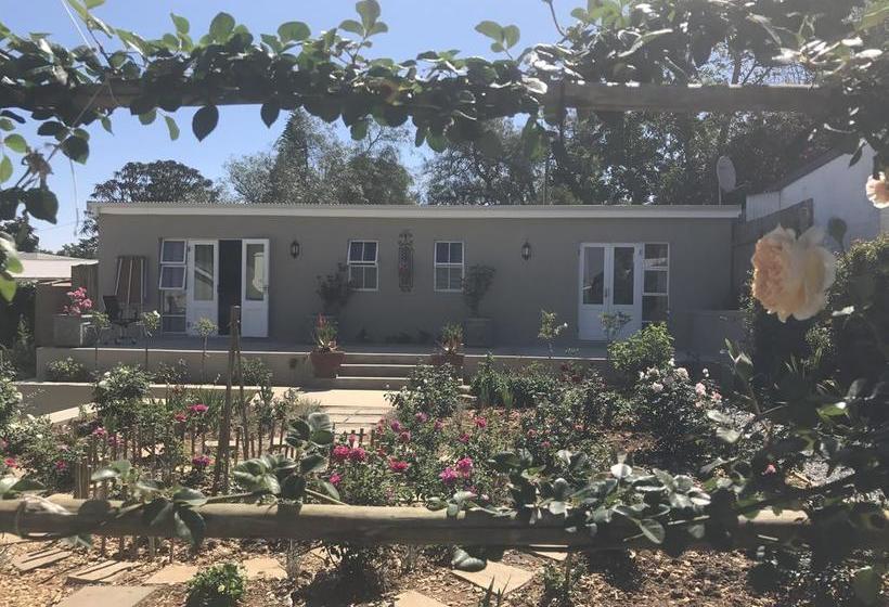 Bed and Breakfast Cornerstone Manor 14