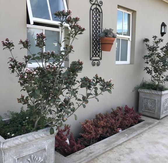 Bed and Breakfast Cornerstone Manor 19