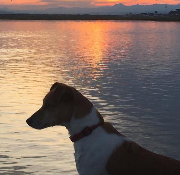 Bed and Breakfast Riverside Lodge 15