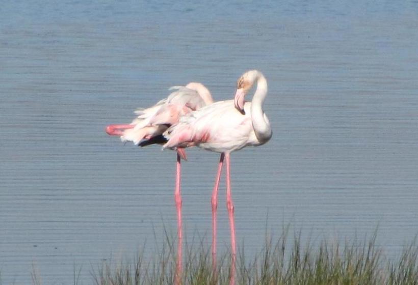 Bed and Breakfast Riverside Lodge 9