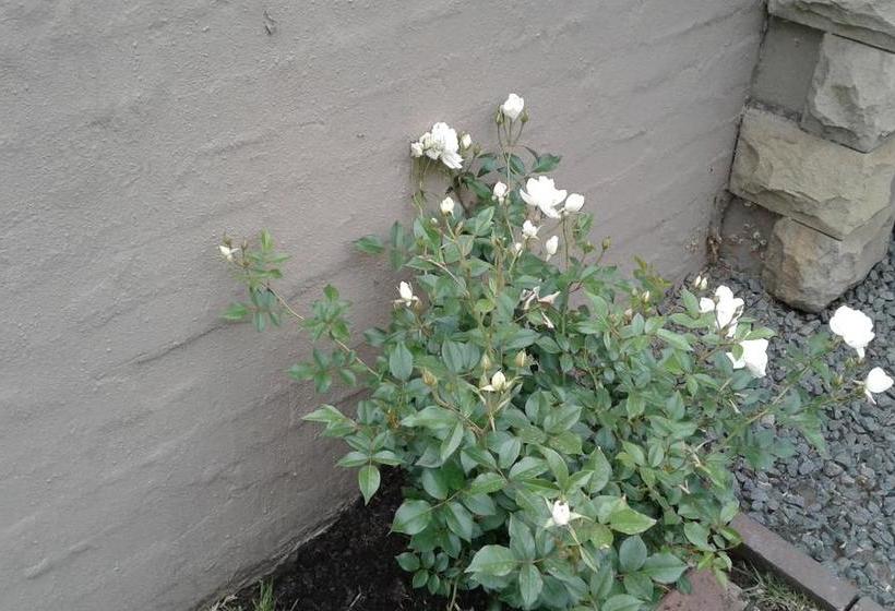 Bed and Breakfast 475 Clarens 17