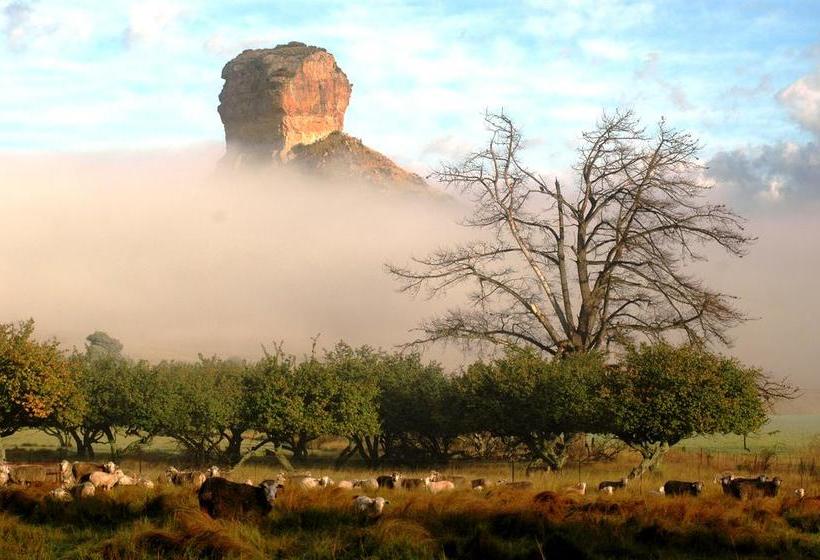 Bed and Breakfast Oranje Guest Farm 13