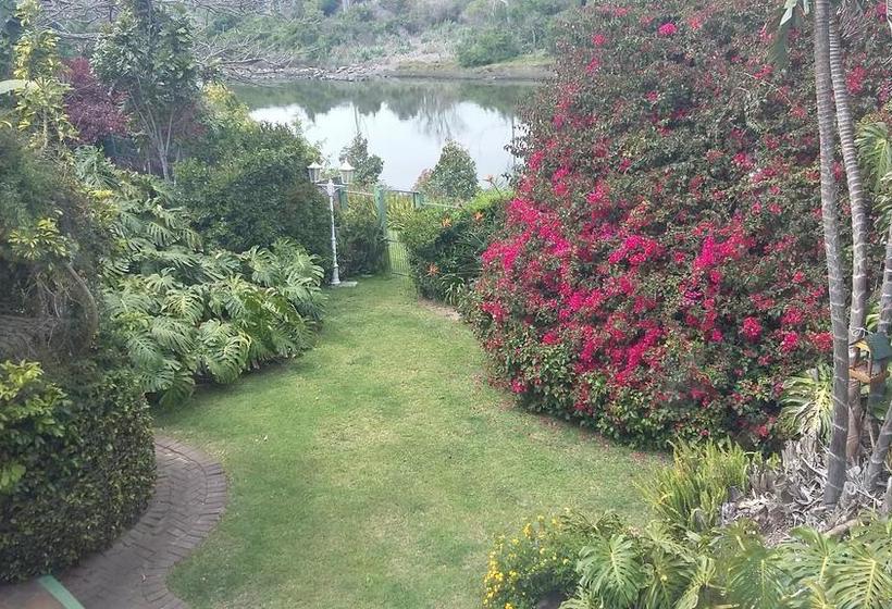 Bed and Breakfast Forword S River Lodge 10