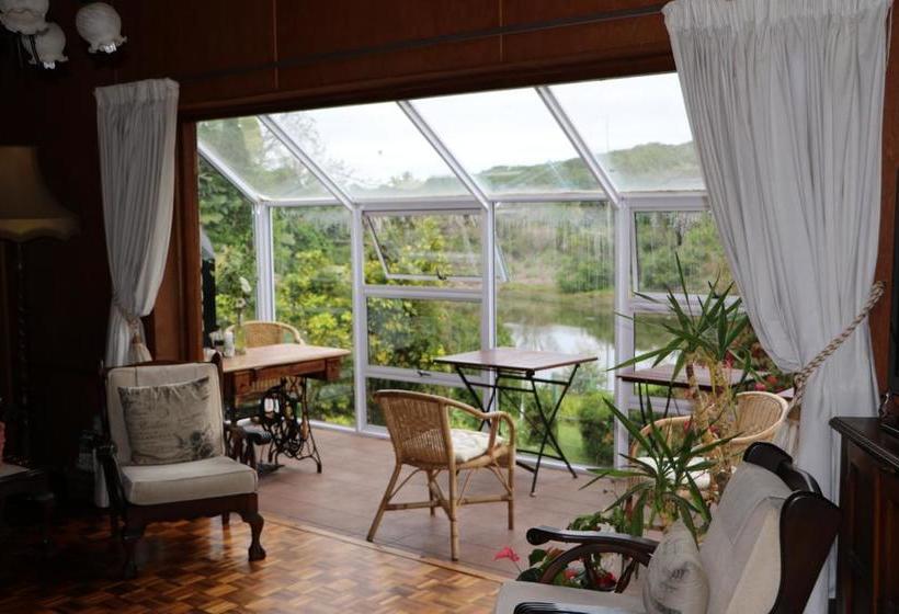 Bed and Breakfast Forword S River Lodge 11